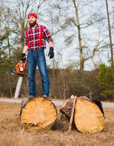 Best Professional Chainsaw Reviews This Year