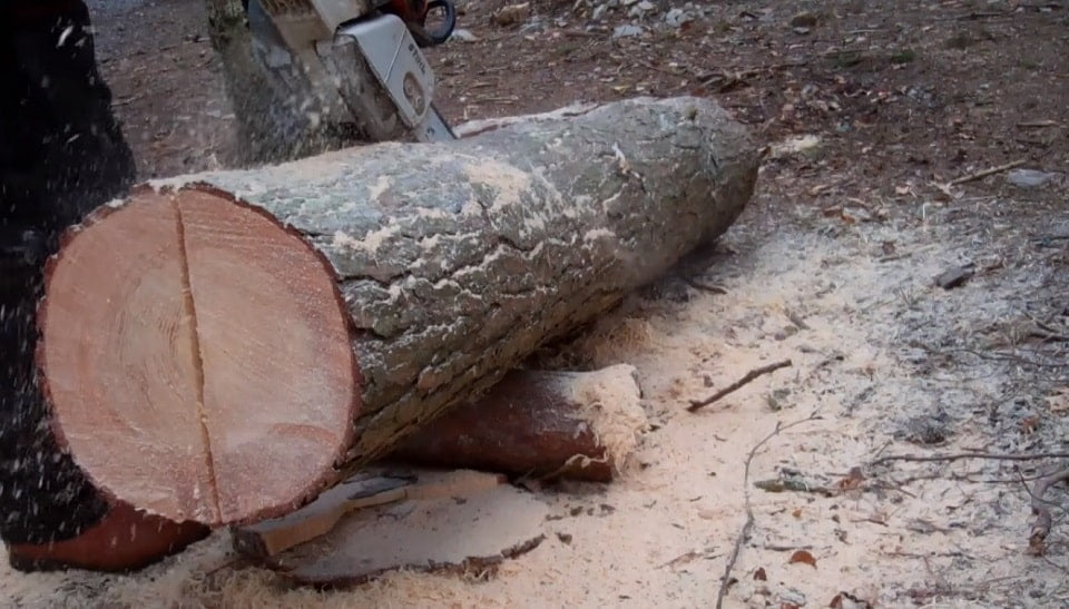 How to Rip A Log with A Chainsaw