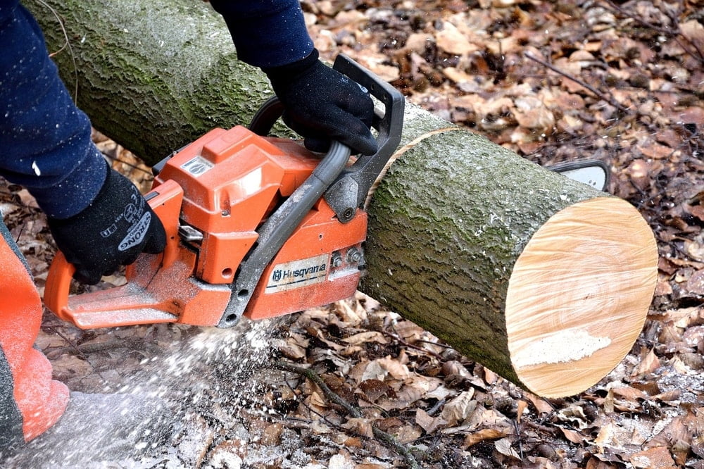 Who Makes the Best Chainsaw in The World