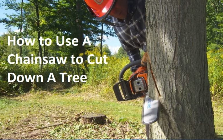 How to Use A Chainsaw to Cut Down A Tree Safely - Toolsadvisorpro