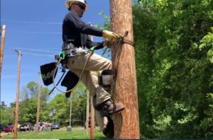 Best Tree Climbing Spikes