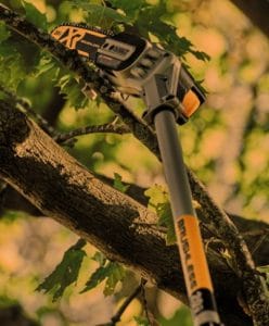 Dewalt Pole Saw Review Efficient Enough Or Not