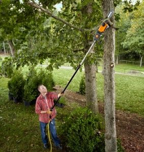 How to Trim Trees With a Pole Saw - Complete Guide for 2022