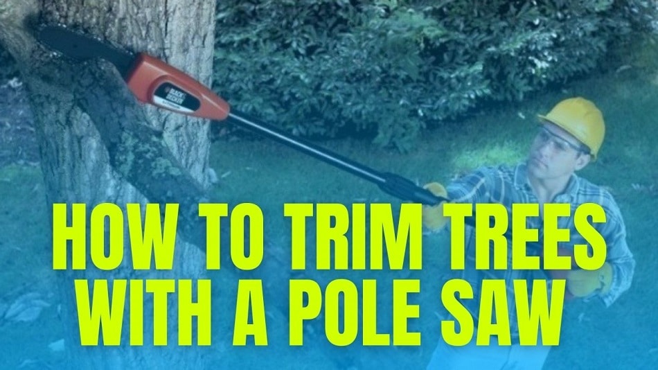How To Trim Trees With A Pole Saw