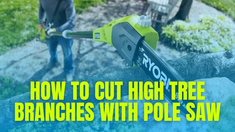 How To Cut High Tree Branches with pole saw